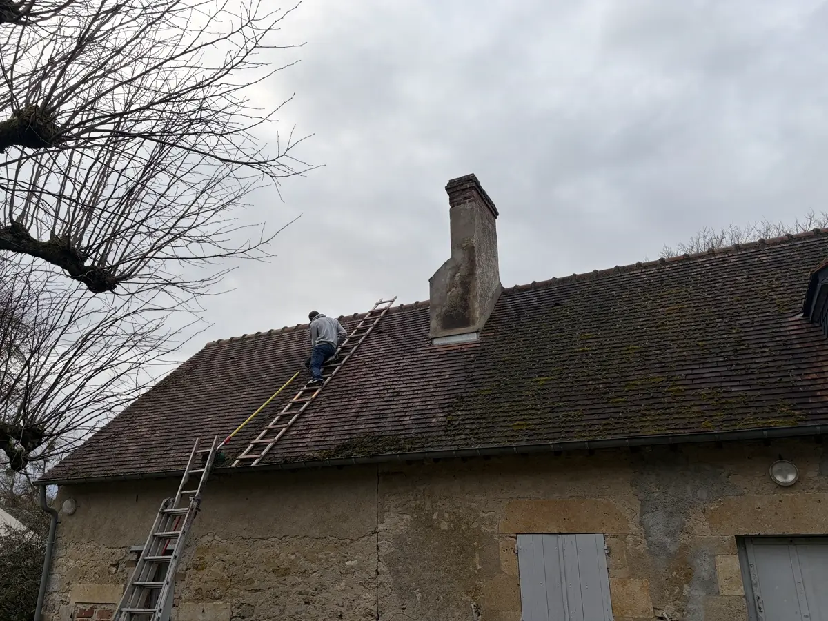 Nettoyage et démoussage